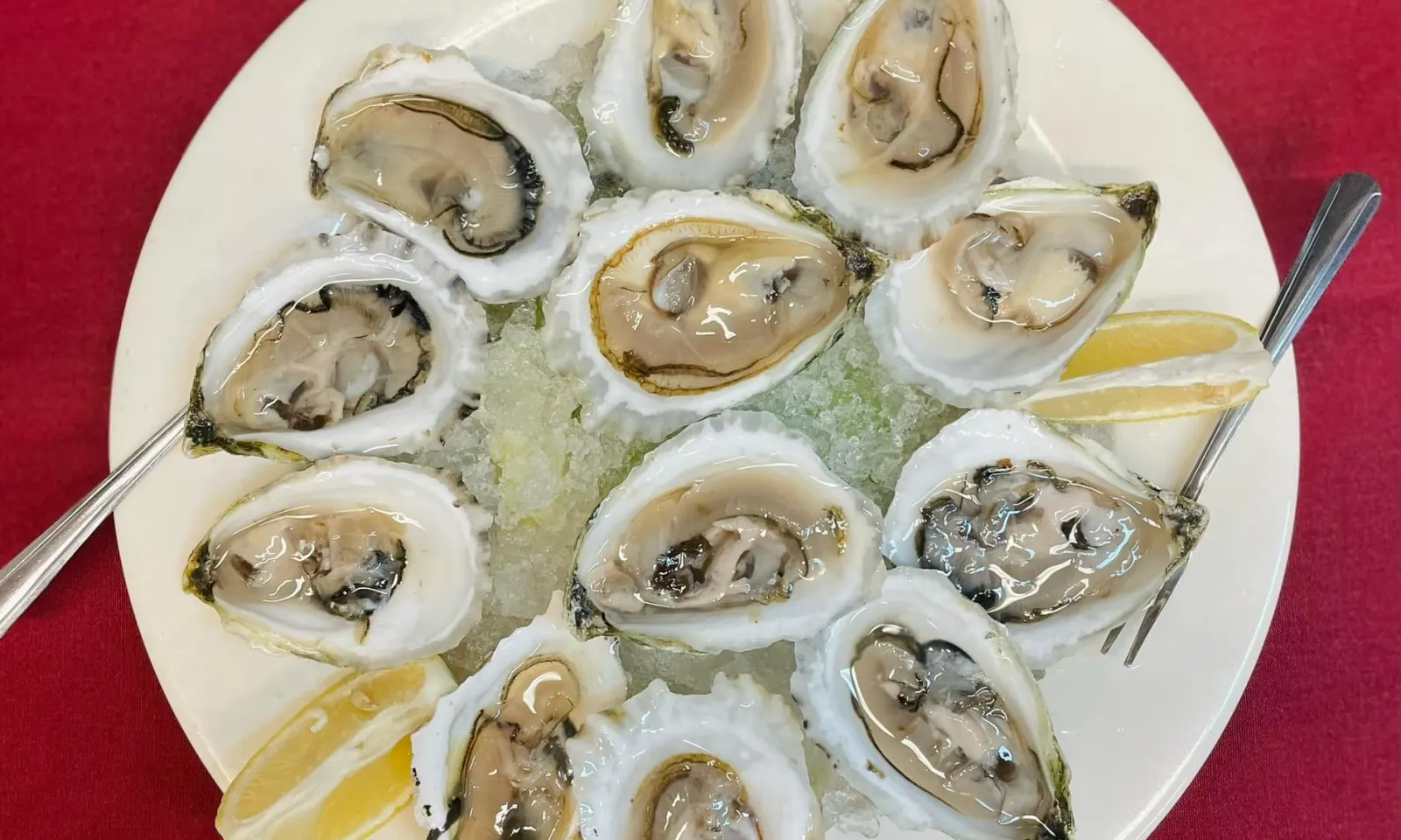 Oysters on the half shell with lemon